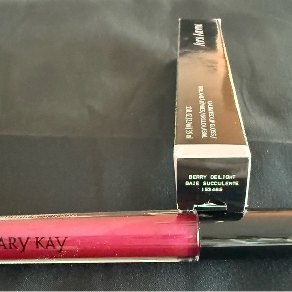 Mary Kay Other - Mary Kay Unlimited Lip Gloss Berry Delight New in Box